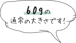 60gの通常の大きさです！