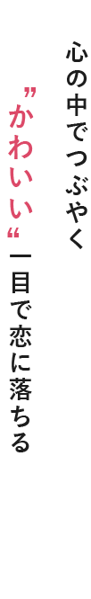 かわいい 一目で恋に落ちる