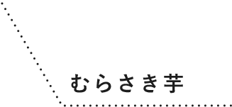 むらさき芋