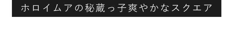 レモンのrawケーキ